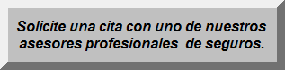 Solicite una cita con uno de nuestros asesores profesionales  de seguros.